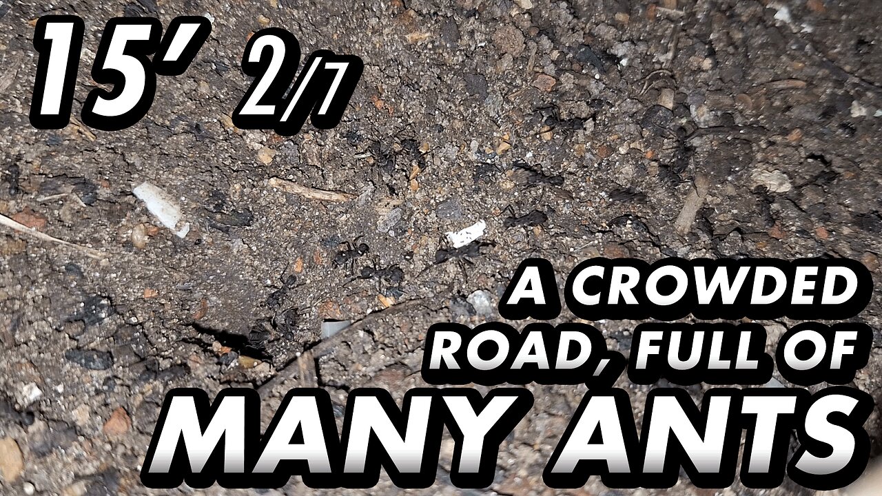 ASMR | Brick by brick, doing mainteinance of their underground bunker - 15' 2/7