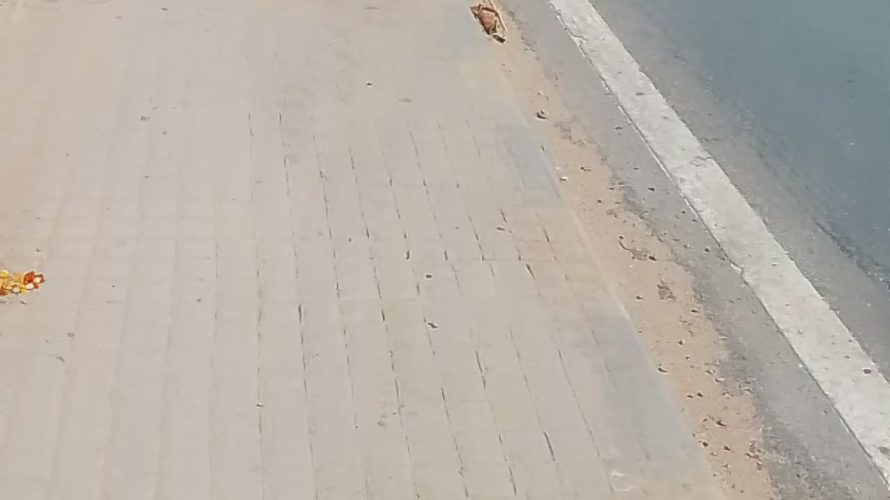 Ganga ji