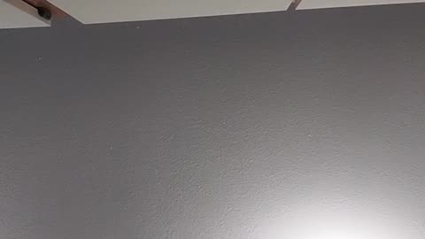 Reaction To Monster Energy Viking Berry Energy Drink Part 1