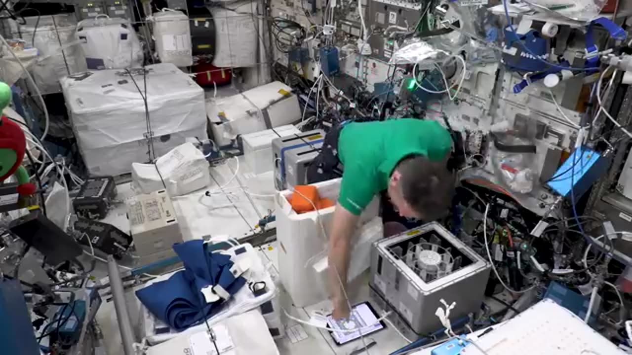 How do we research in zero gravity? We ask a Nasa Expert