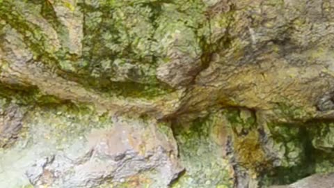 What if...This Cave Could Destroy the World!?