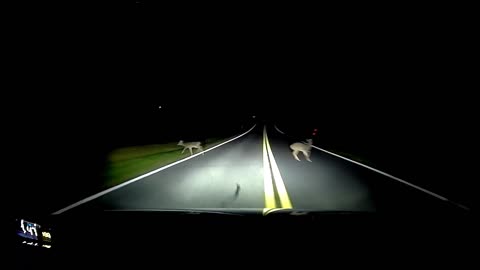 Dashcam close call!
