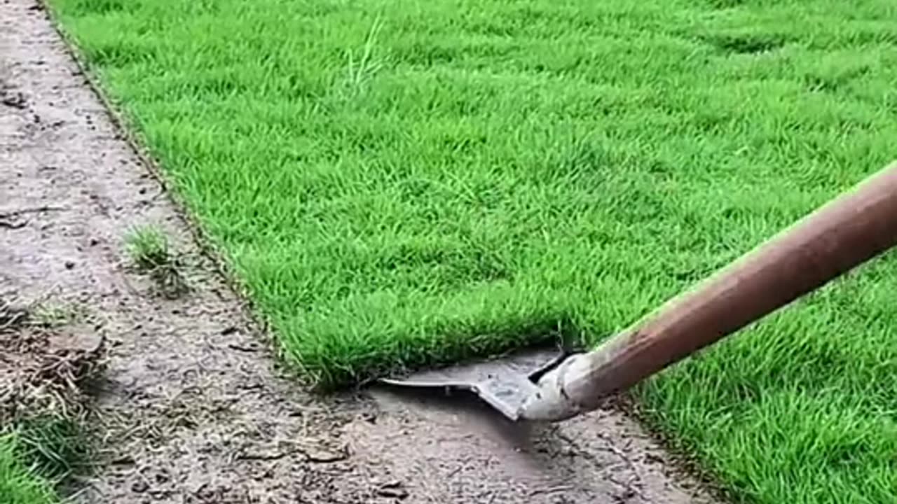 Short Video
