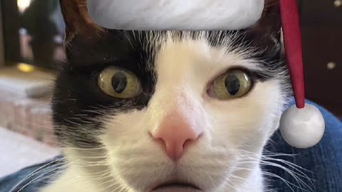 Silent Night (sort of)