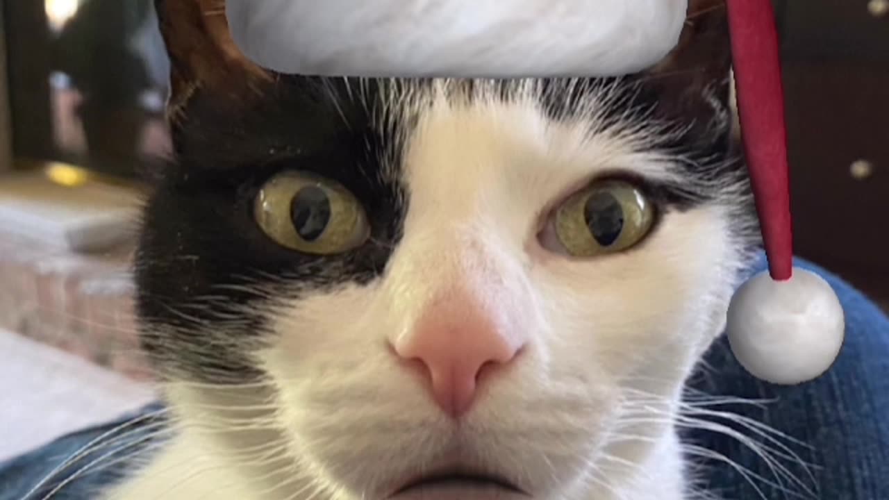 Silent Night (sort of)