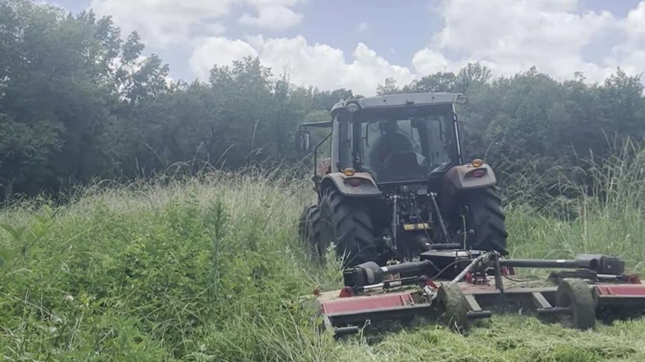 The Battle has BEGUN!!!!