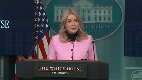 Karoline Leavitt, Cabinet members brief amid South America escalation