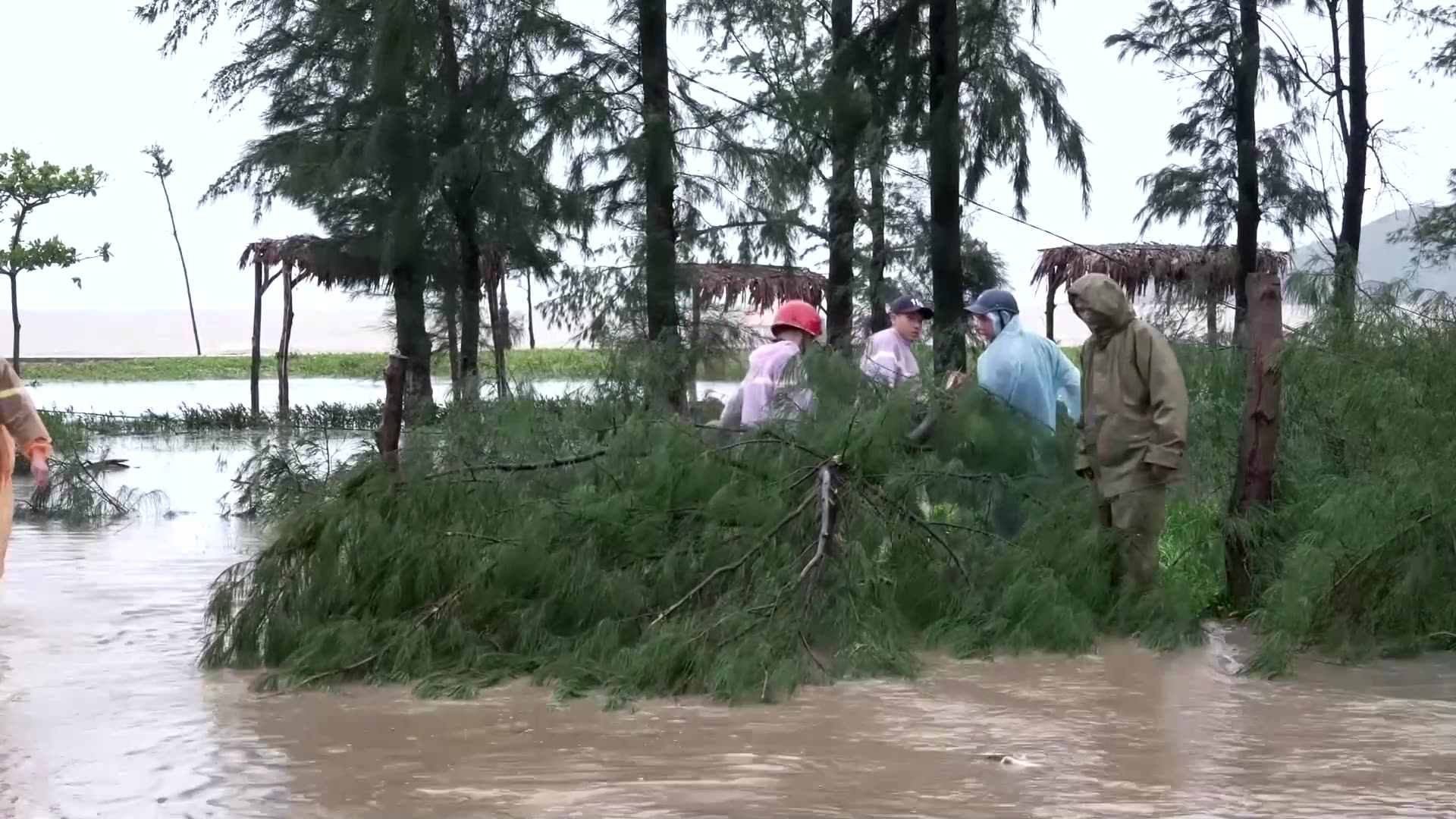 Typhoon Kajiki leaves widespread damage in north central Vietnam
