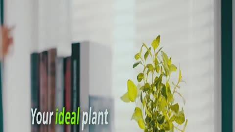 Top 5 Reasons the Tuya Ivy Smart Planter is a Must-Have for Plant Lovers!