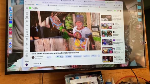 Trivial information about thouroughbred racehorces....