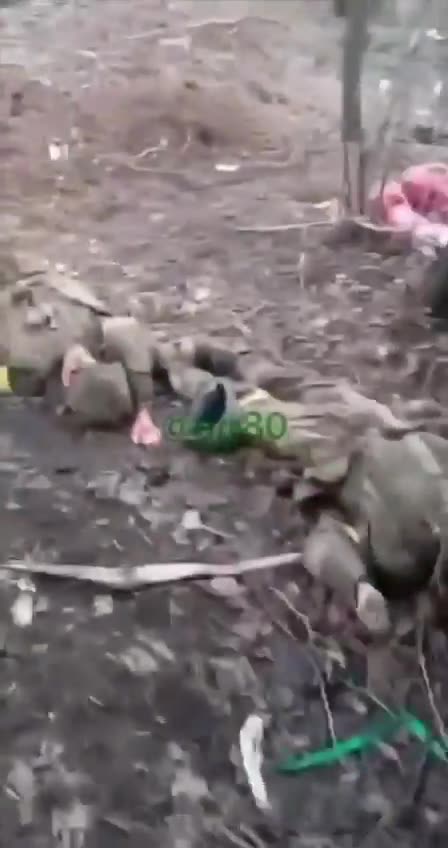 More German signed Ukrainian units liquidated.