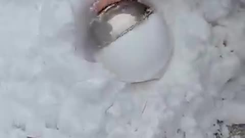 The Perfect Snowball ❄️☃️