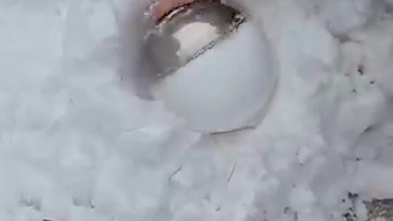 The Perfect Snowball ❄️☃️