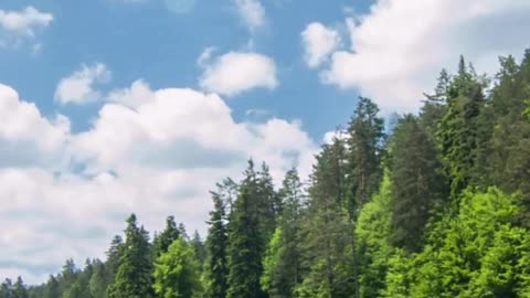 Serene Lake scene in tranquility