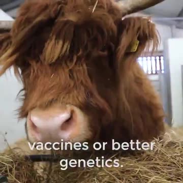 Thanks to the work of Bill Gates, soon absolutely