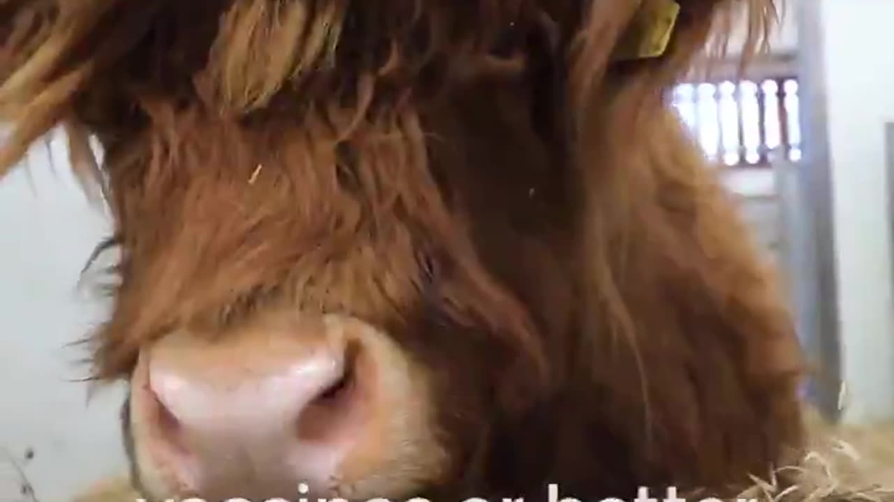 Thanks to the work of Bill Gates, soon absolutely