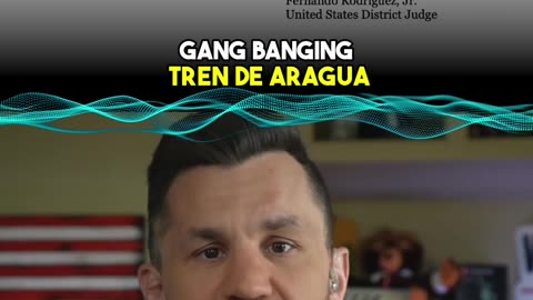 Trump-Appointed Judge HANDS FREE ACLU to Violent Illegal Gang Members