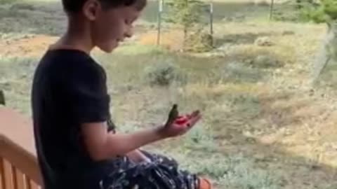 Creating Wonderful Childhood Memories by Hand Feeding Humming Birds