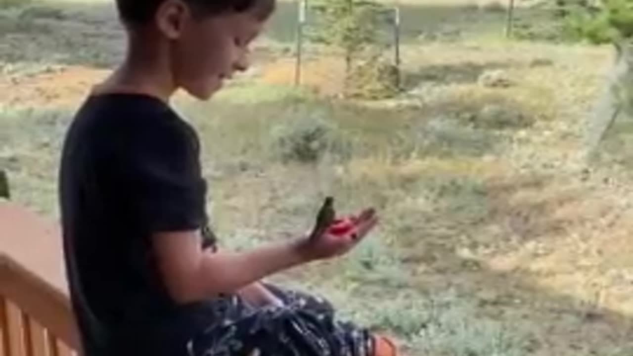 Creating Wonderful Childhood Memories by Hand Feeding Humming Birds