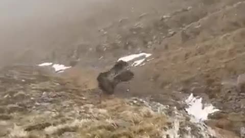 Dude loses his quad bike