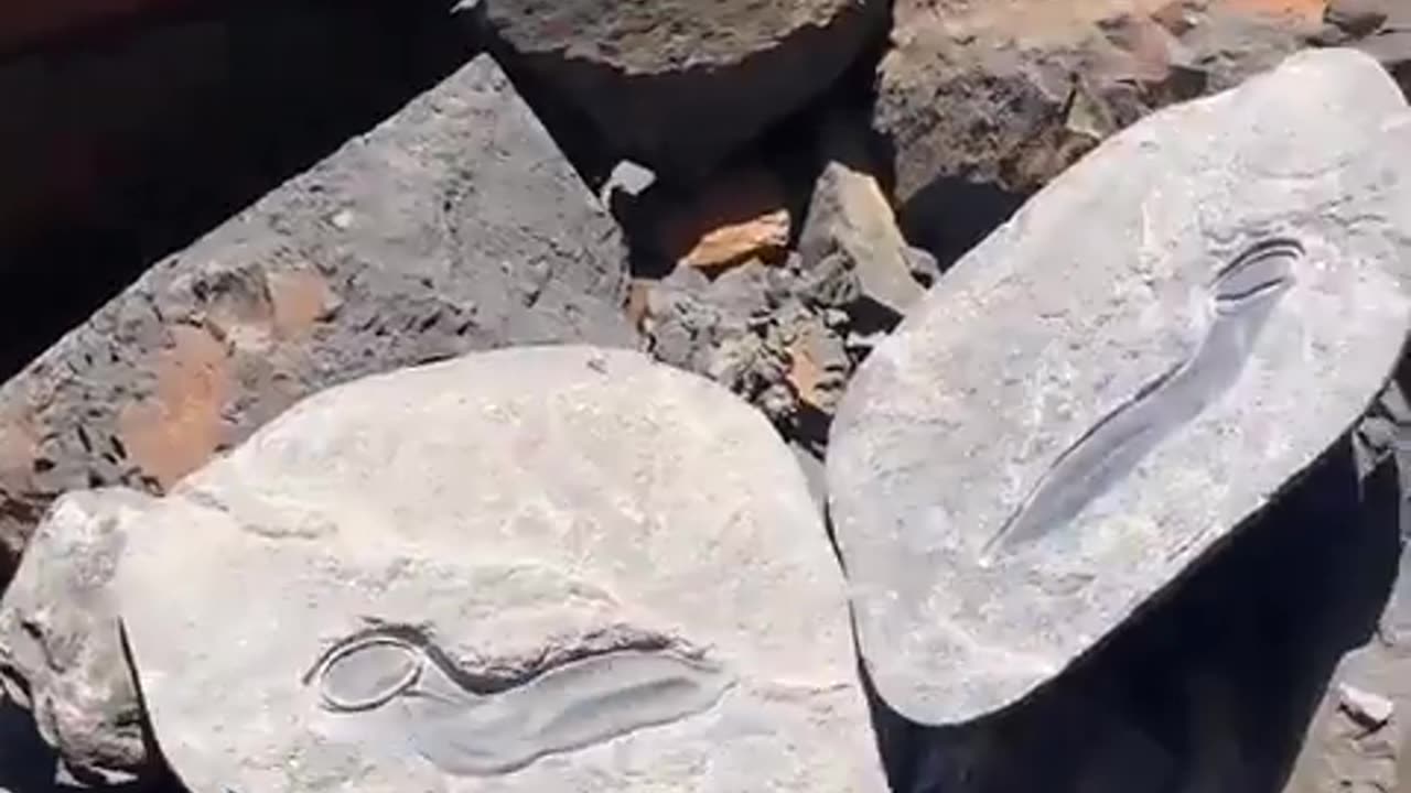 😂🦺 Safety First Gone Hilariously Wrong! | FunFM
