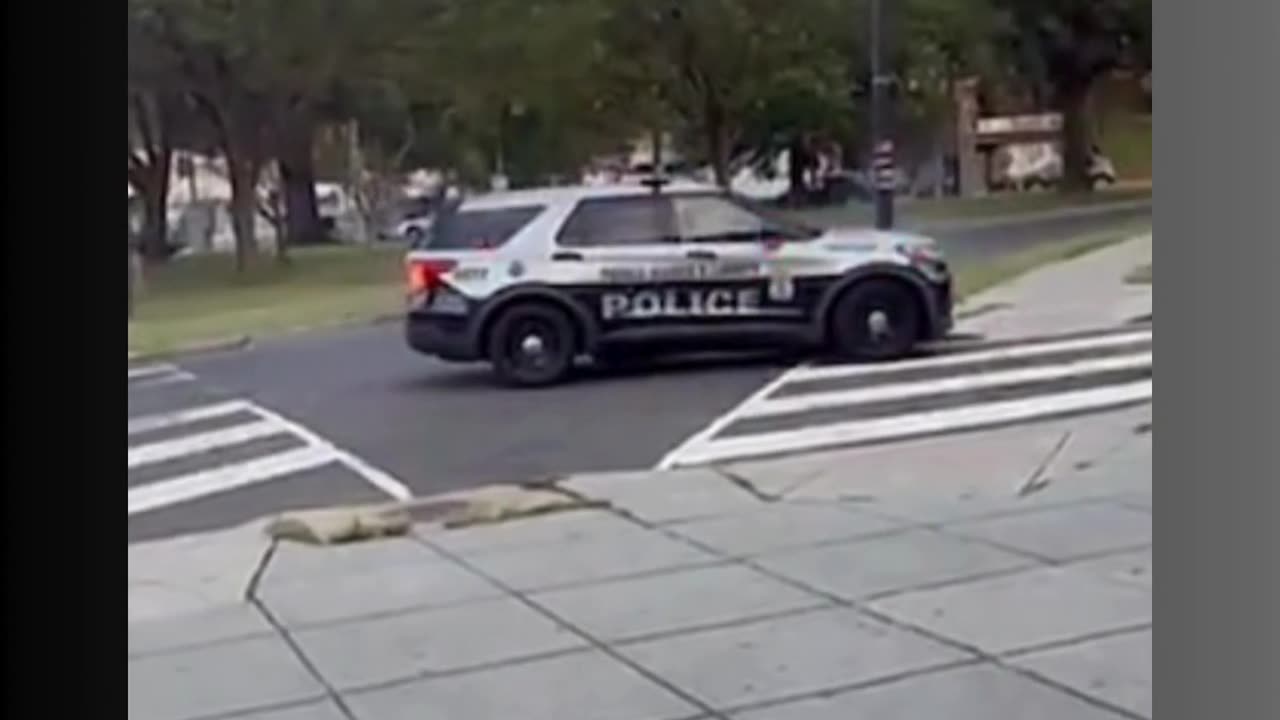 🚨 STOLEN CAR CHASE ENDS IN CRASH & CHAOS! 🚗💥🚔