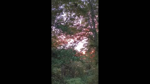 BIBLENKJV.COM™ 🛐 08/14/2025 #SUNSET #WEATHER #KNOXVILLE
