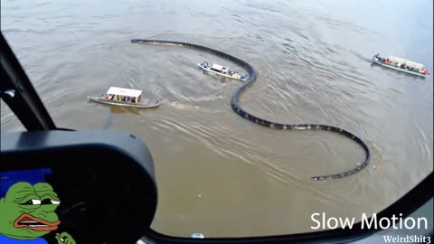 Giant Anaconda Filmed from Helicopter in the Amazon River – Shocking Encounter with Fishing Boats