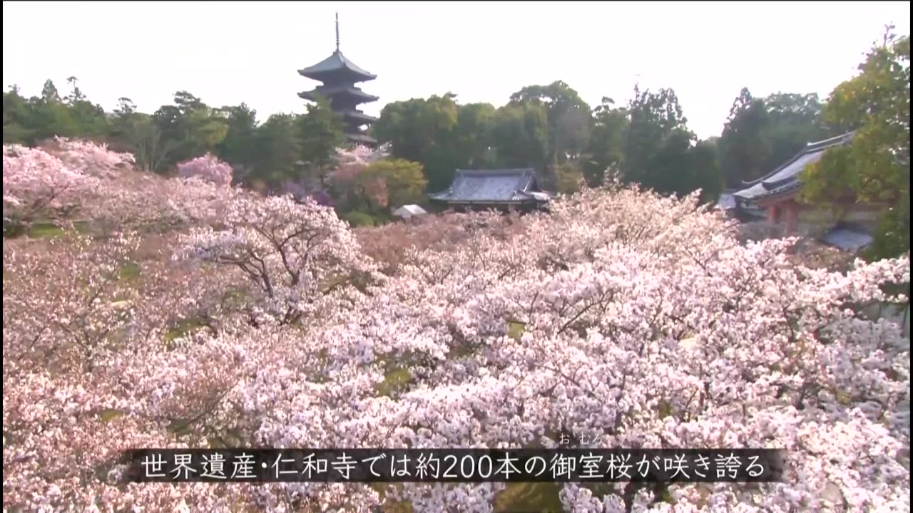 ニッポンぶらり鉄道旅 「“瀬戸内の贈り物”を探して JR山陽本線・赤穂線」