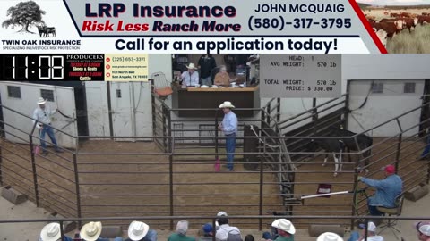 5/6/2025 - Sheep & Goat Auction - Producers Livestock Auction Company