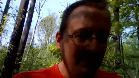 IRL Nontent from the Forest w a female... deer.