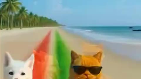 Cat vs Dog Epic Race 🐱🐶 | The Cat Was Winning… But Then!