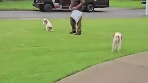 After 10 years, this UPS worker is driving this route for the last time