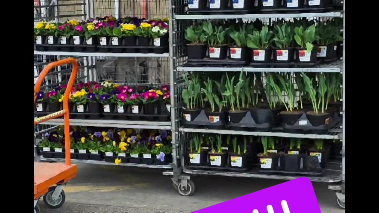 You Know It's Spring in Montana When...