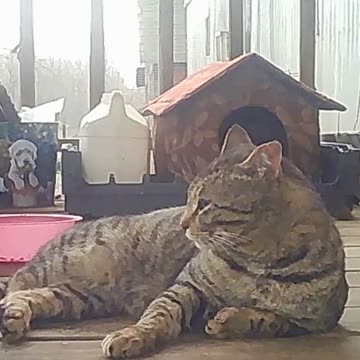 EA S173 - Bathing Before Resting