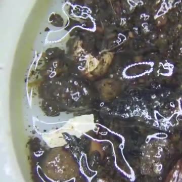 DO NOT DRINK OR COOK W TAP WATER