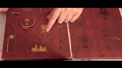 2025 Profusion Cosmetics Harry Potter count down calendar door #5