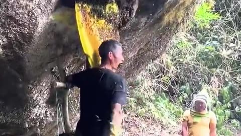 This honey hunter collects wild honey but stays super friendly with the bees
