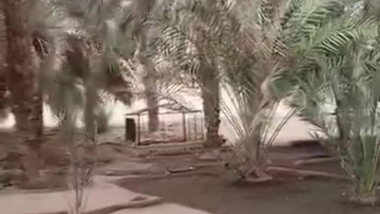 Khajior market in madina