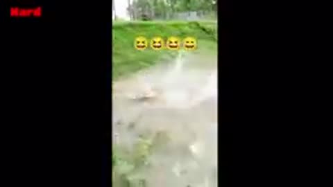 Try not to laugh