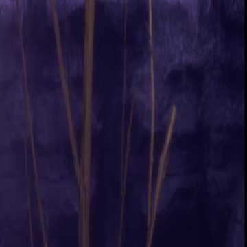 Star Trek Resurgence, Exploring the Galaxy, Saving the Universe