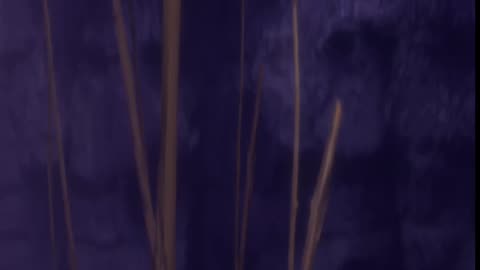 Star Trek Resurgence, Exploring the Galaxy, Saving the Universe