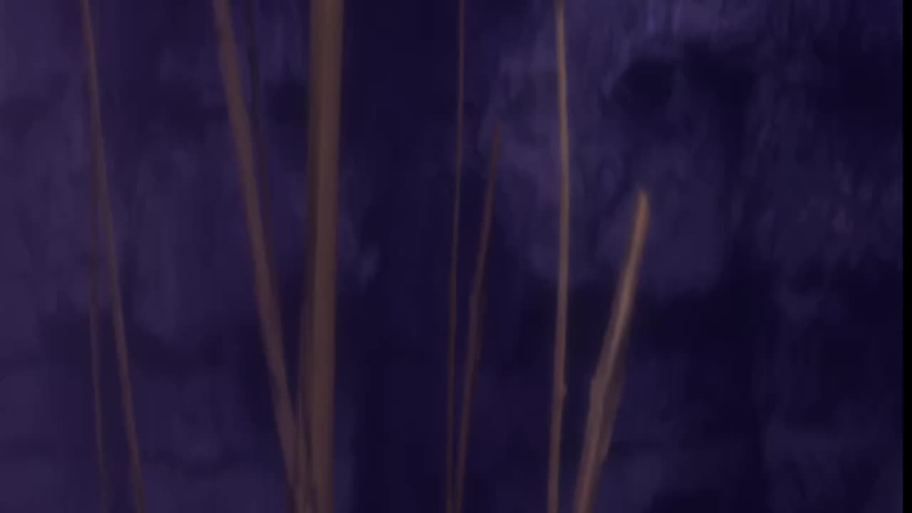 Star Trek Resurgence, Exploring the Galaxy, Saving the Universe