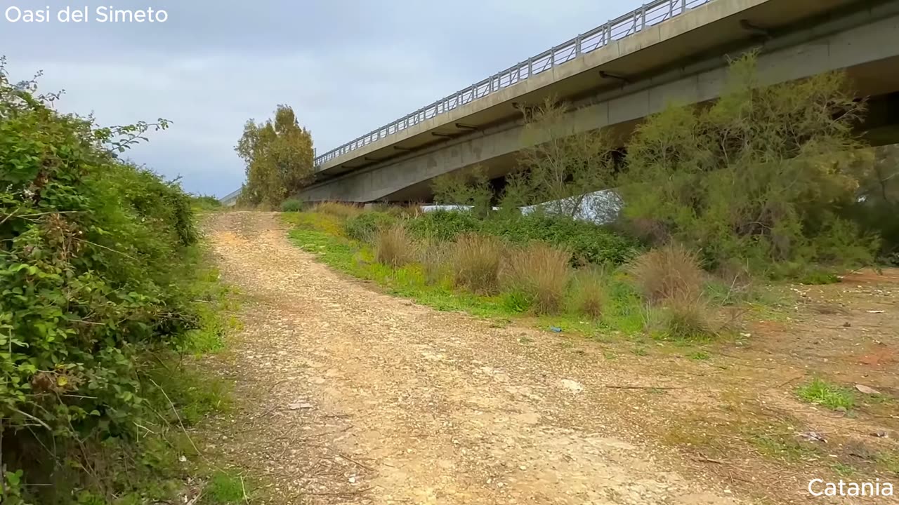 Trekking in the Simeto Oasis, Sicily Italy – Scenic Nature Walk