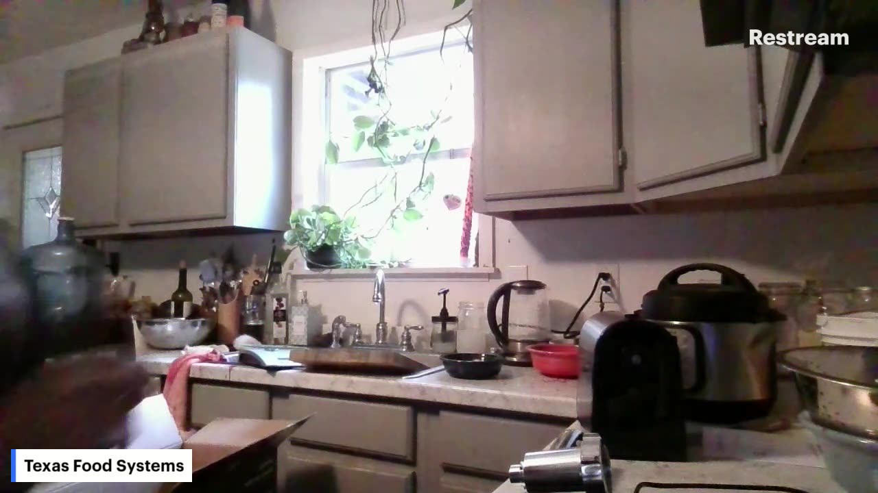 I've decided! Today we are live-streaming a rabbit butcher