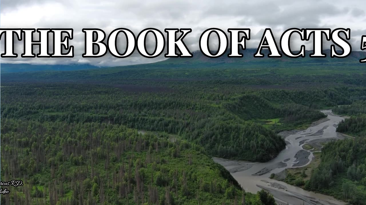 The book of Acts 5