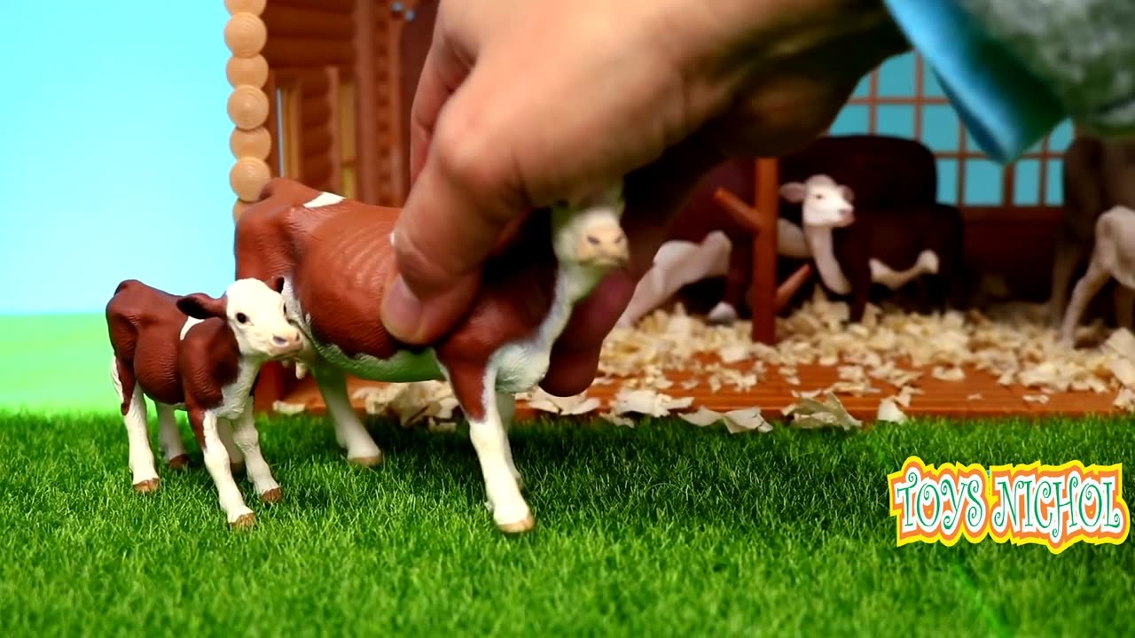 Chickens and Geese Fight Over Corn During Afternoon Meal