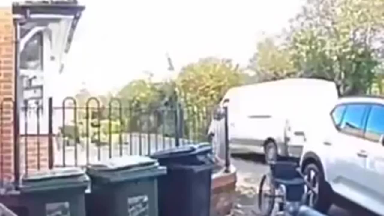 😂🐶 Hilarious Dog Walking Fail! | FunFM