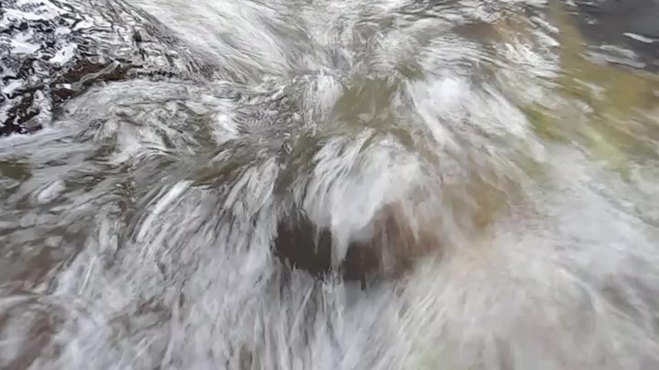 Wild Encounters Up Close with Nature