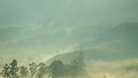 Rainy season in India